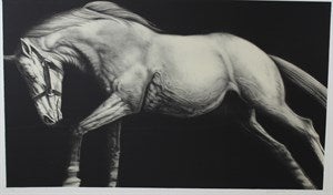 Image description is not available for DU1982.5